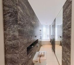 The Oliv (D10), Apartment #627943651